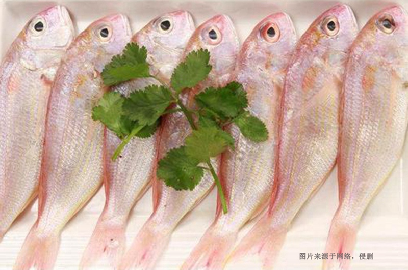 越南冷凍魚(yú)進(jìn)口清關(guān)資料到深圳代理胡志明海運(yùn)案例
